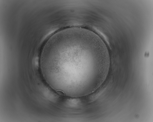 X0000096730067200802051451