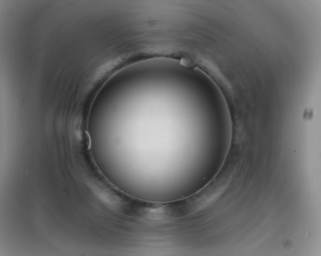 X0000096730068200802051451