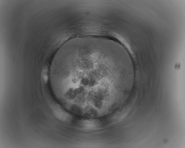 X0000096730069200802051451