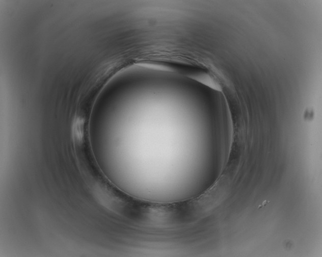 X0000096730070200802051451