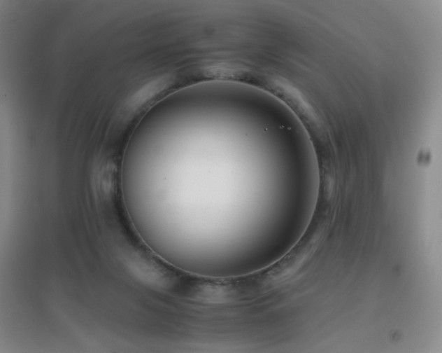 X0000096730071200802051451