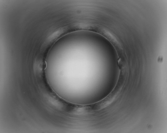 X0000096730072200802051451
