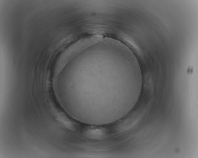 X0000096730073200802051451