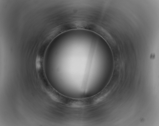 X0000096730075200802051451
