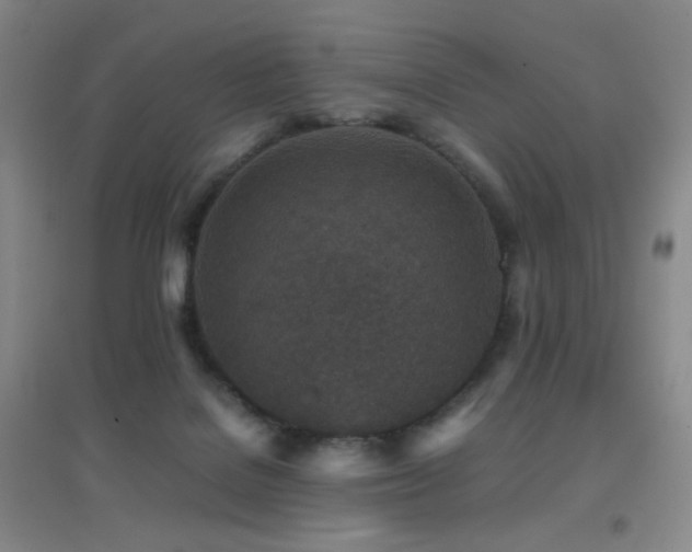 X0000096730076200802051451