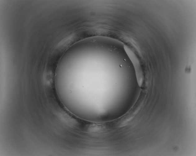 X0000096730077200802051451