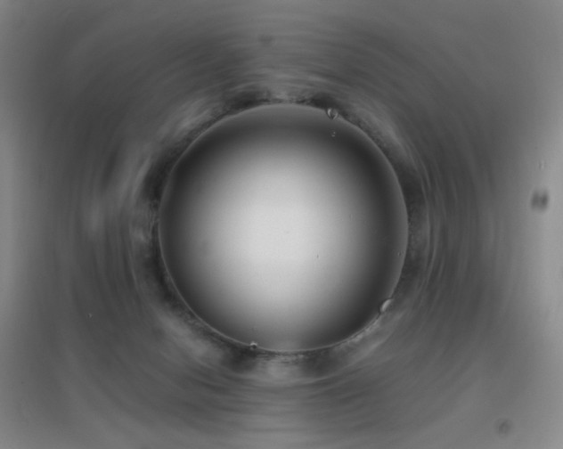 X0000096730078200802051451