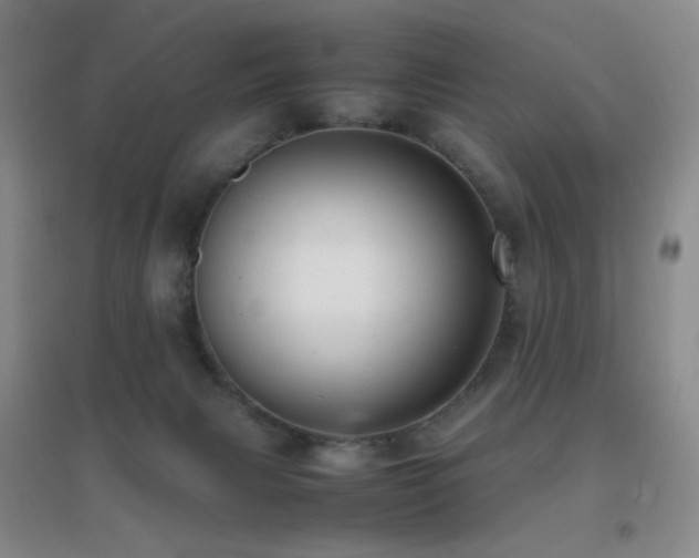 X0000096730079200802051451