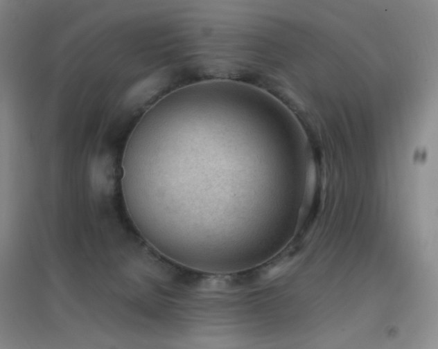 X0000096730080200802051451