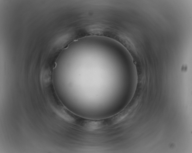 X0000096730081200802051451