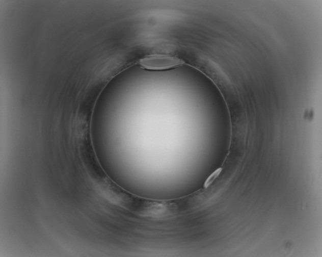 X0000096730083200802051451