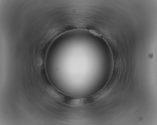 X0000096730084200802051451