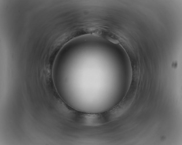 X0000096730085200802051451