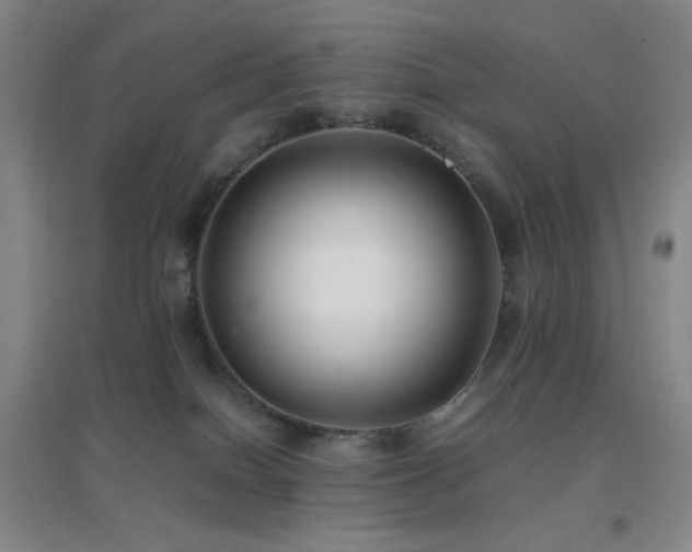 X0000096730086200802051451
