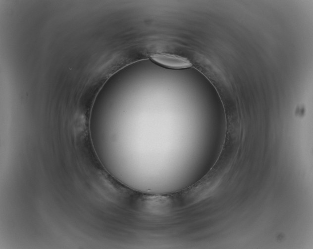 X0000096730087200802051451