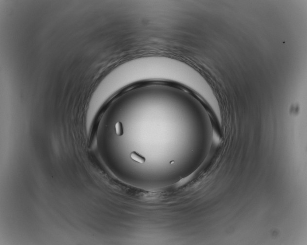 X0000096730088200802051451