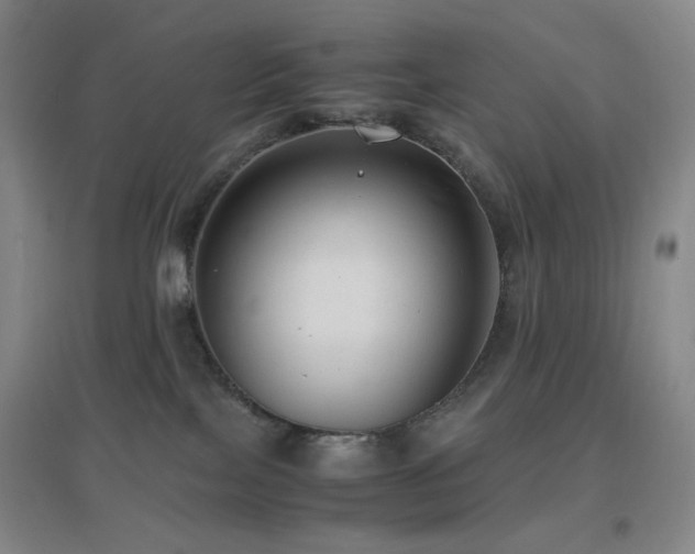 X0000096730089200802051451