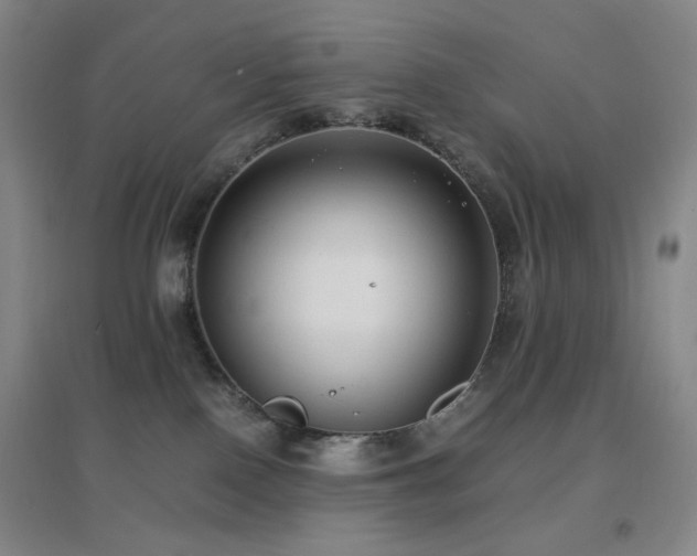X0000096730090200802051451