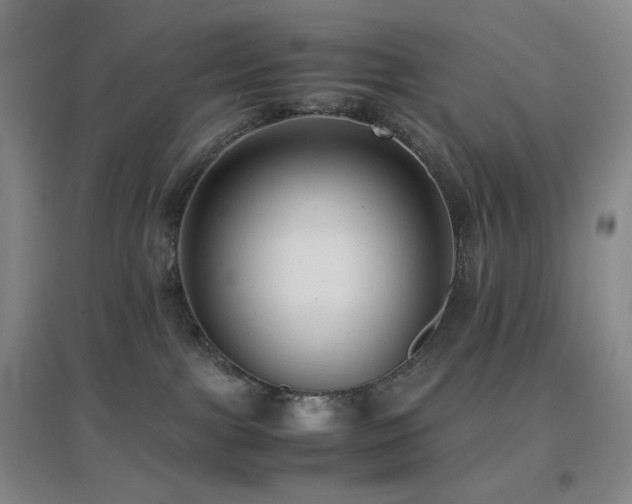 X0000096730091200802051451