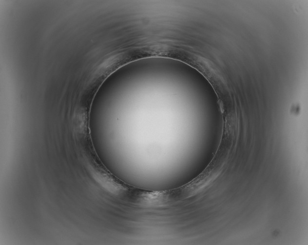 X0000096730092200802051451
