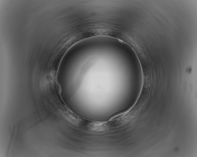 X0000096730093200802051451