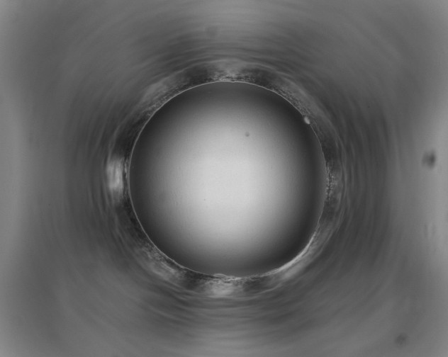 X0000096730094200802051451