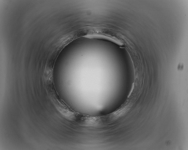 X0000096730096200802051451