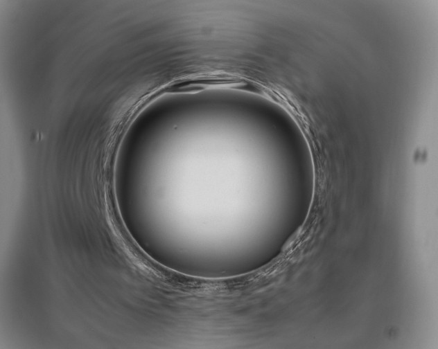 X0000096730097200802051450