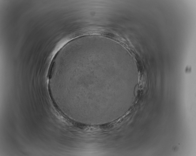X0000096730099200802051450