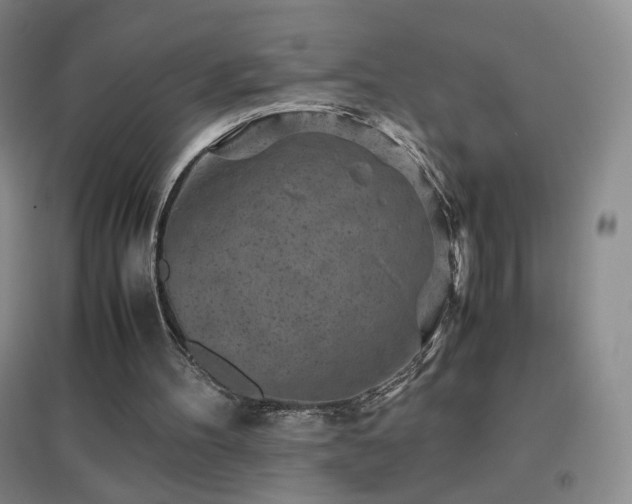 X0000096730100200802051450
