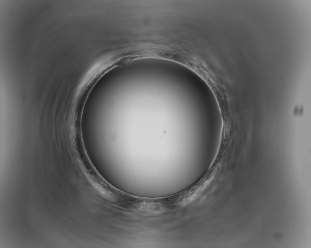 X0000096730101200802051450
