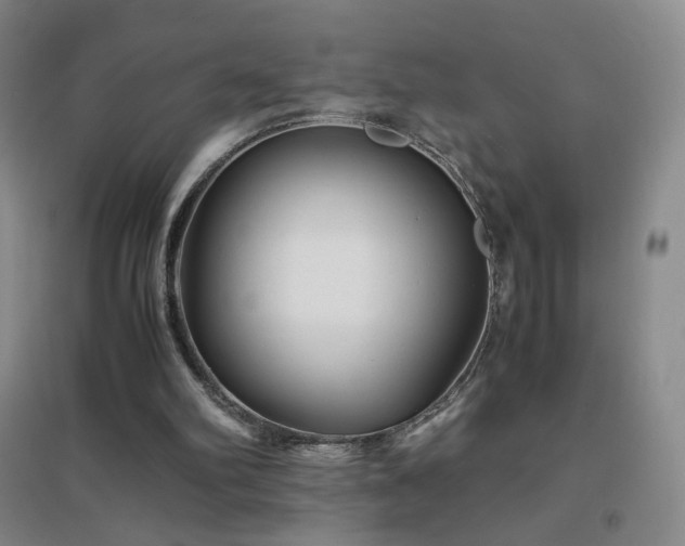 X0000096730102200802051450