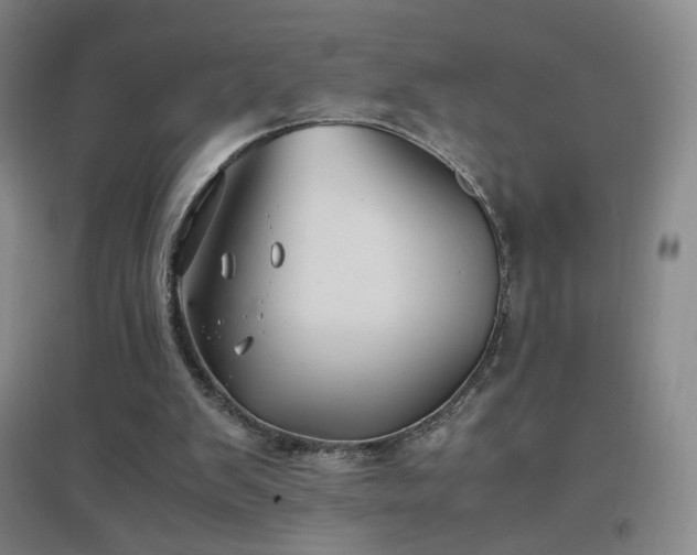 X0000096730103200802051450