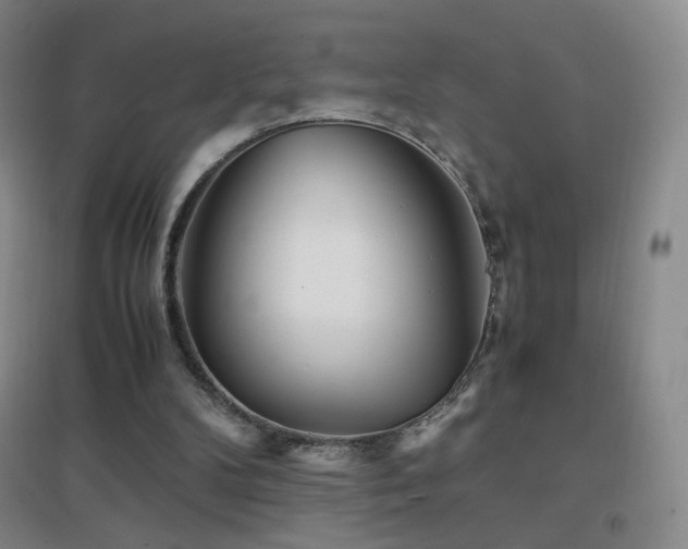 X0000096730104200802051450
