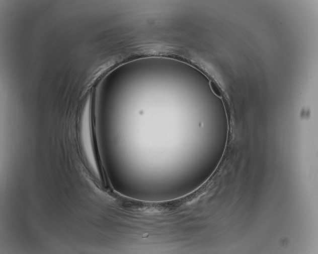 X0000096730105200802051450