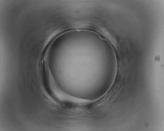X0000096730107200802051450