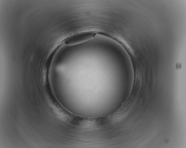 X0000096730110200802051450