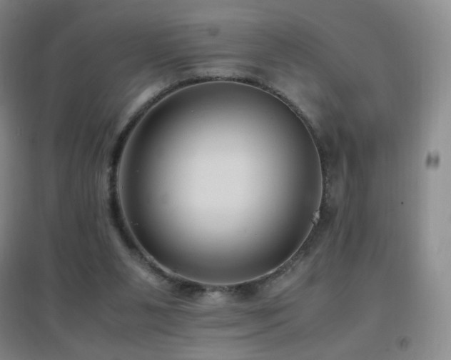 X0000096730111200802051450