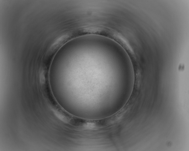 X0000096730114200802051450