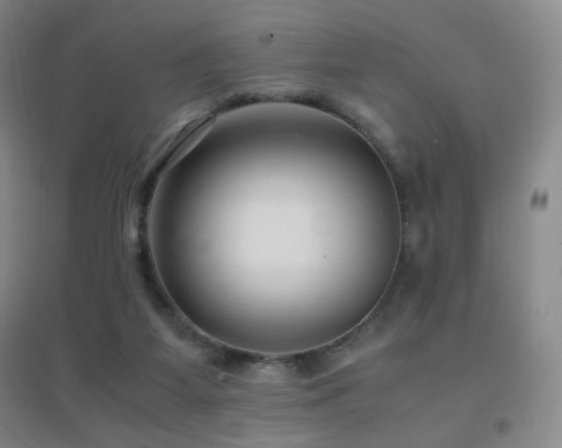 X0000096730115200802051450