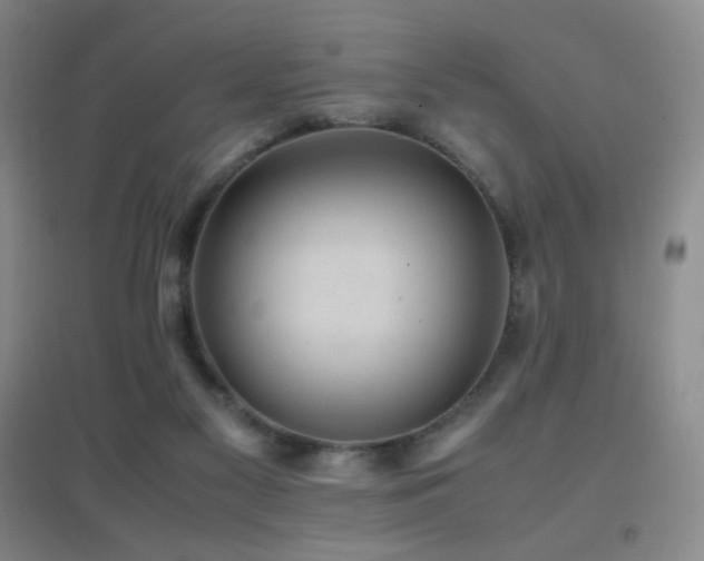 X0000096730117200802051450