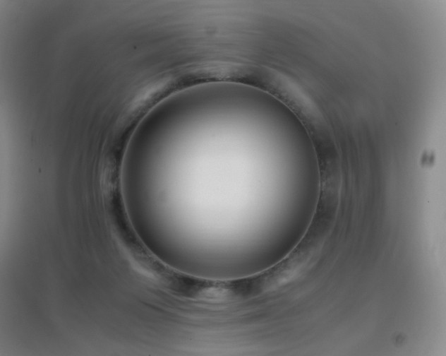 X0000096730119200802051450
