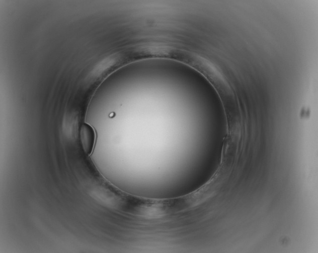 X0000096730120200802051450