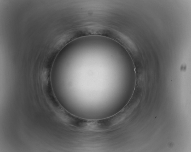 X0000096730121200802051450