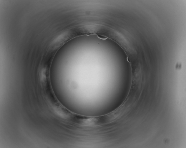 X0000096730122200802051450