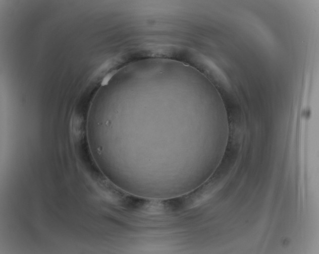 X0000096730123200802051450