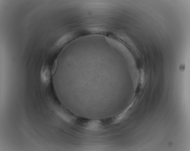 X0000096730124200802051450