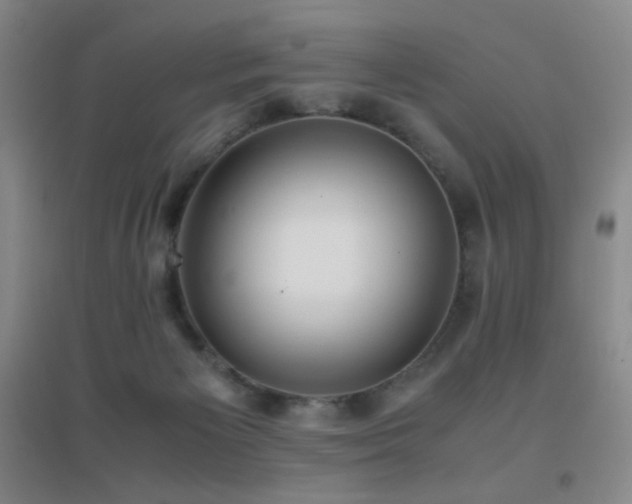 X0000096730125200802051450