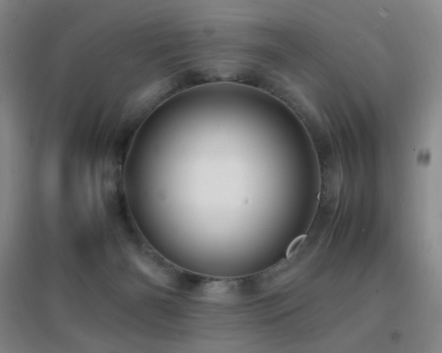 X0000096730126200802051450