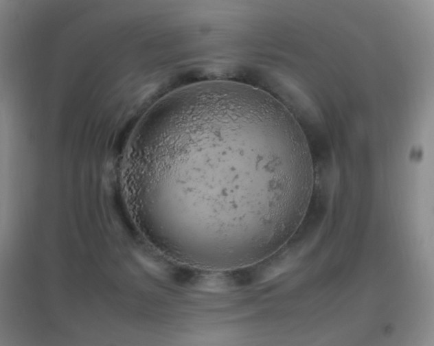 X0000096730127200802051450